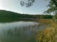 Jezioro Klimek (Konik)