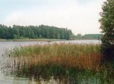Jezioro Lemańskie