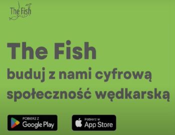 Elektroniczny rejestr połowu ryb – „The Fish”